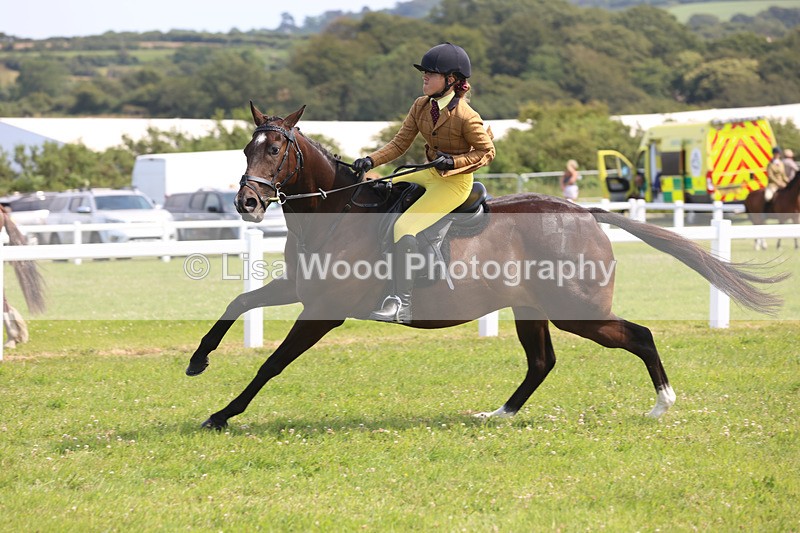 JPP_3578 - Class 23: Working Hunter 80cm