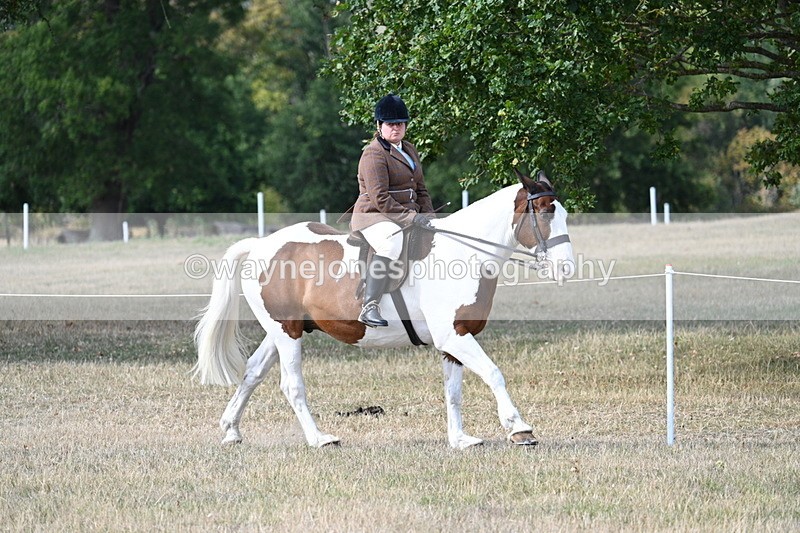 WJ7_7079 - Class 14 Ridden Coloured