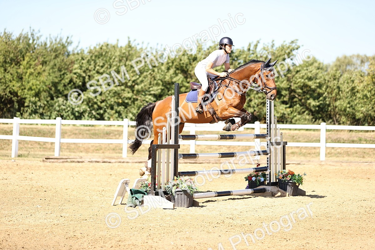SBM_015511 - Class 16 - Senior foxhunter - 1.20m Open