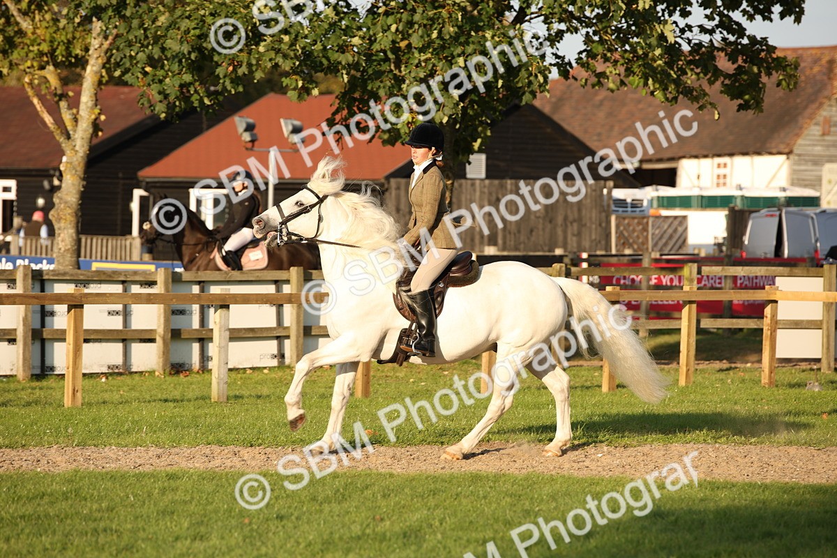 SBM_54450 - S27 - Mature Veteran - Ridden