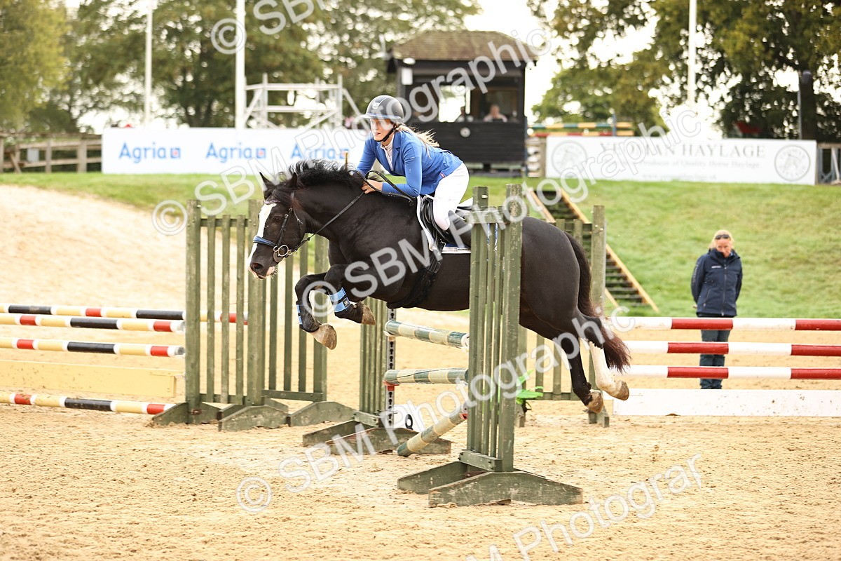 SBM_58269 - J41 - Grand Tour Horse & Pony 95cm