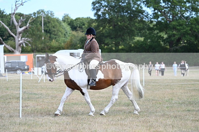 WJ7_6886 - Class 14 Ridden Coloured