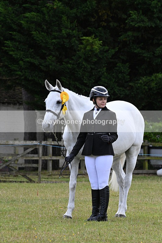 WJ7_7204 - Class 5a Most Handsome Gelding in Hand