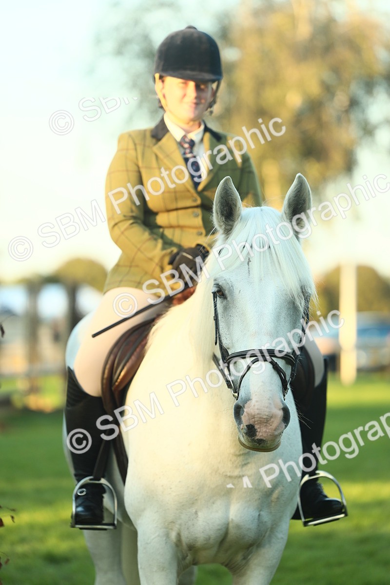 SBM_56578 - S14 - Riding Club Horse