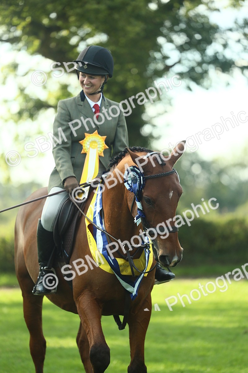 SBM_52319 - Working Hunter Supreme Championship