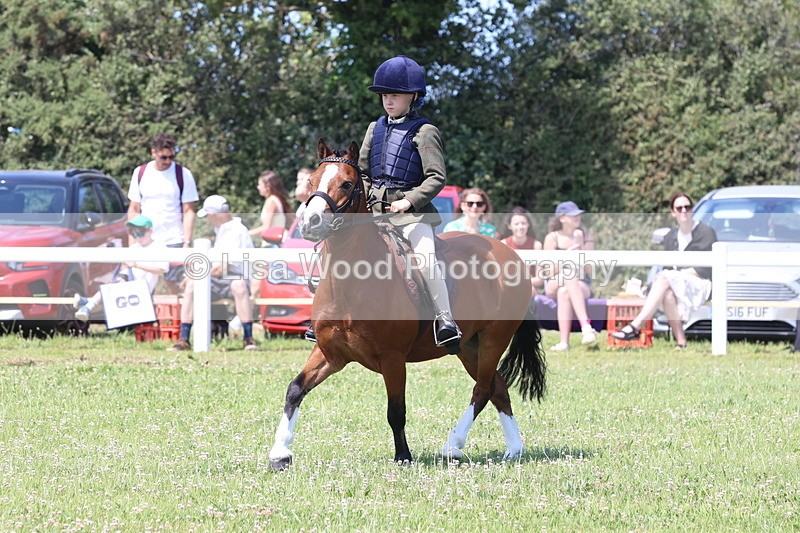 JPP_2337 - Class 20: Tiny Tots Working Hunter Pony