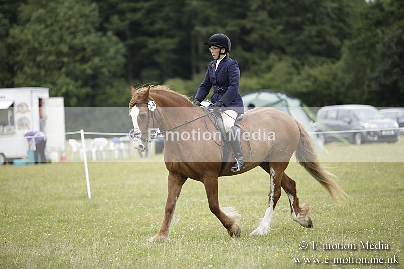 BVR160717-1541 - Ring 1 BVRC Show 16/07/17