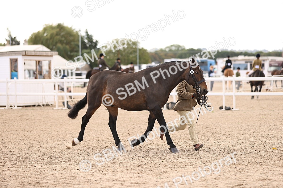SBM_10374 - Class 405 - IH Show Cob