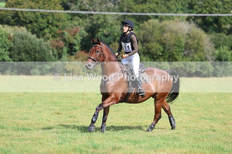 3E7A6598 - Class 1: Trebudannon Open: Pheasant Feeder