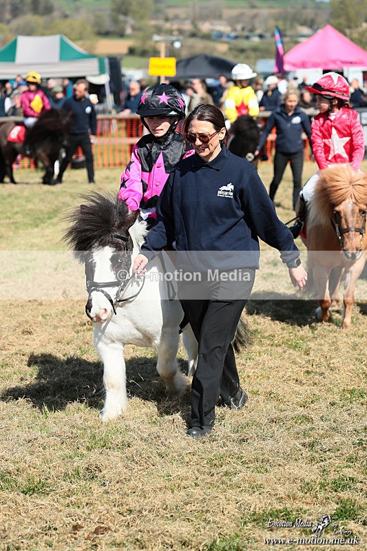 Shet 060426 102 - Shetland Pony Racing Paxford Races Easter Mon 06/04/26
