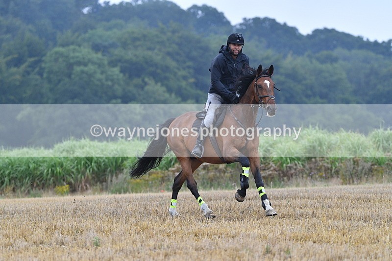 WJ5_2463 - Sofian Francis