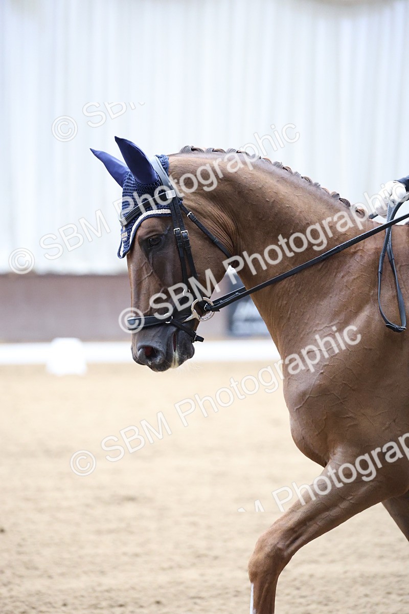 SBM_002924 - Class 5 - Novice 6 Gold - 10.24-11.30