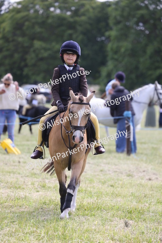 20260614-1878 - Class 21 - Novice Working Hunter Pony