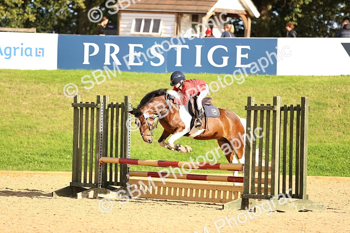 SBM_51518 - J10 - Junior Pony 75cm Championship