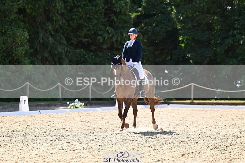 260731A-112259-00316 - Elementary Bronze 10.30 - Break