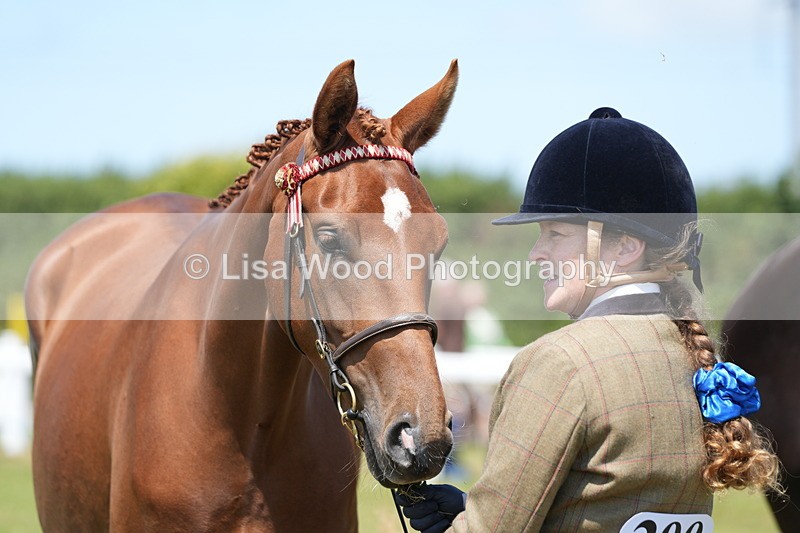 DSC06287 - Class 54: Hunter/Riding Horse/Hack 1 & 2 yr olds
