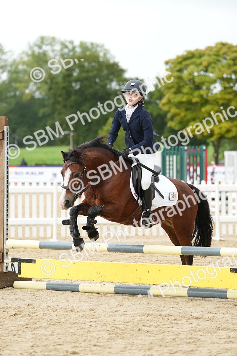 SBM_33446 - J5 - Junior Pony 50cm Championship