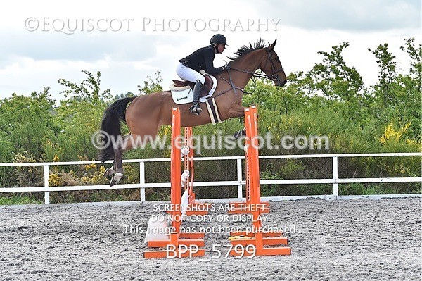 BPP_5799 - SUN CLASS 33 FOX/1.20M