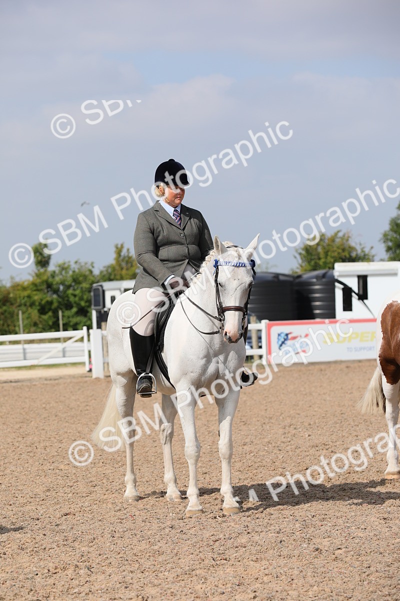 SBM_13498 - Class 308 Ridden Coloured Horse