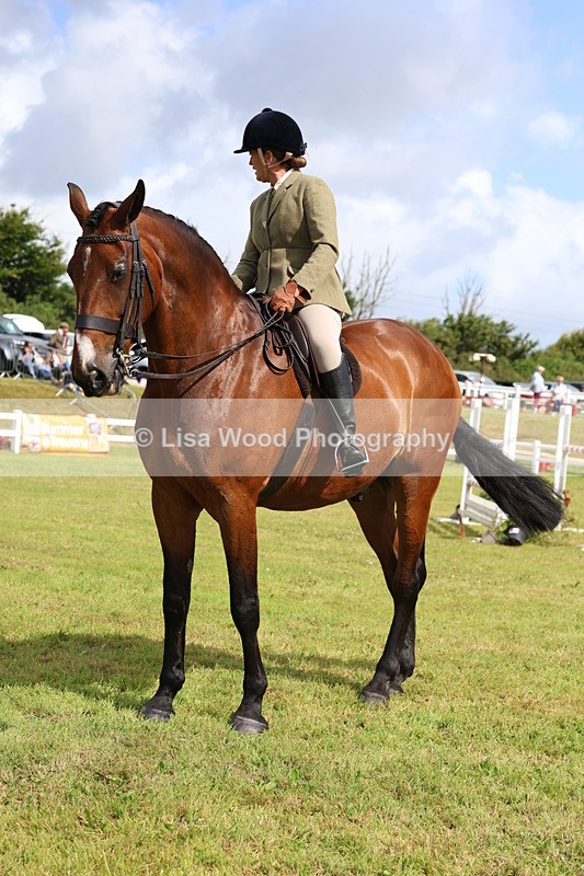 3E7A9382 - Class 4: Rising Star M/H Hunter