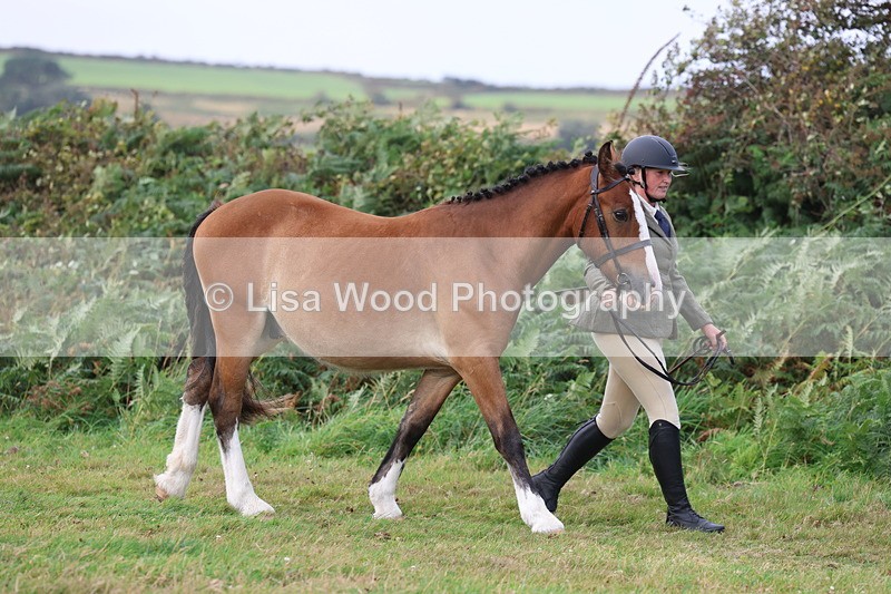 3E7A4052 - Class 15: Two Year Olds