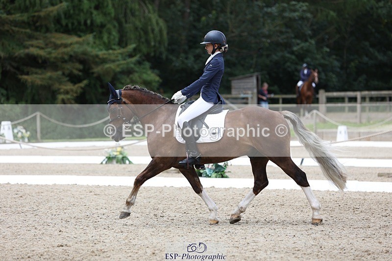 230812-115944-03903 - Cls 5 Novice Bronze 11.15 to 12.50 break