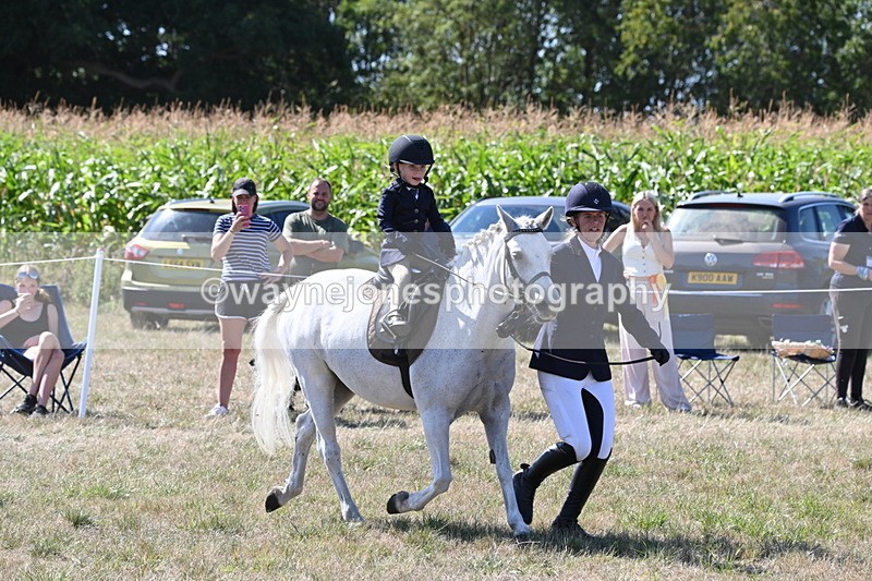 WJ6_7996 - Class 36 Lead Rein