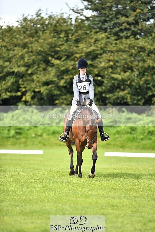 230826-101918-15439 - Sections C & D 10 to End