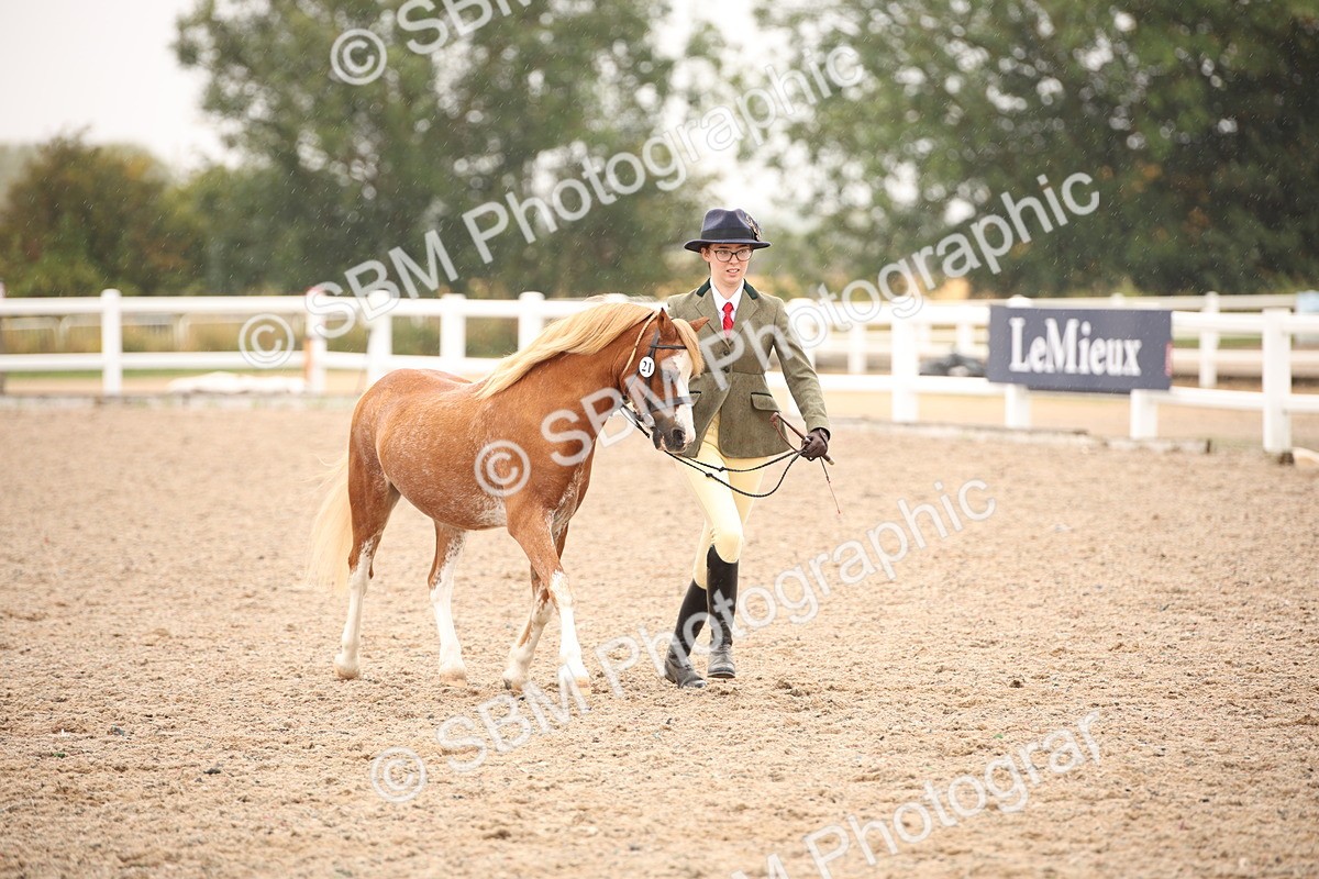 SBM_20210 - Class 703 - IH  Coloured