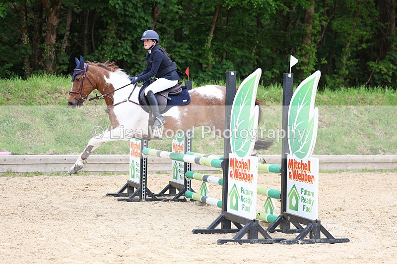 3E7A0128 - Class 13: Pony British Novice/80cm open