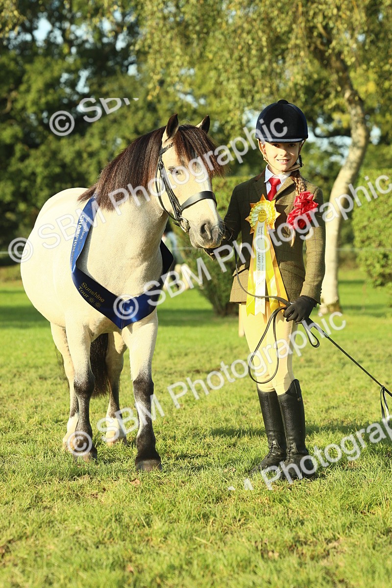 SBM_58477 - S37 - Starters In Hand Showing