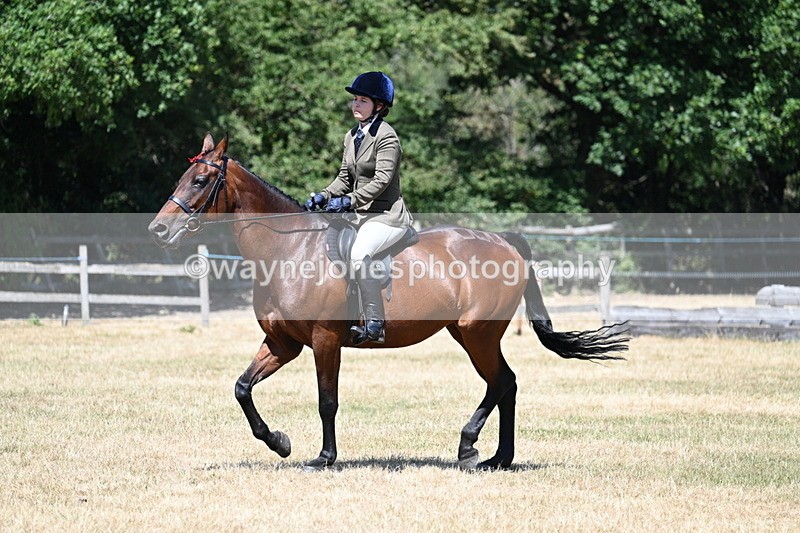 WJ7_3062 - Class 7 Riding Club Show Horse