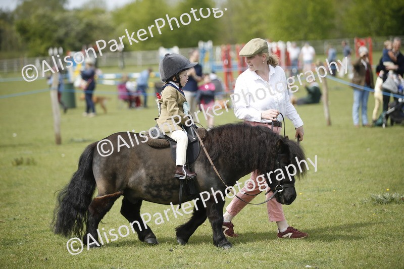 20260426-1924 - Class 7 - Pony Judge Would Most Like To Take Home