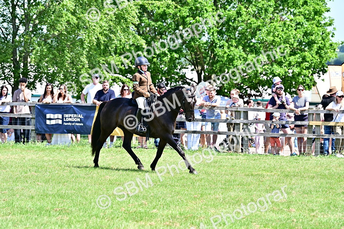 SBM_15280 - Class 95-97 - BSPS LHS Performance Ponies