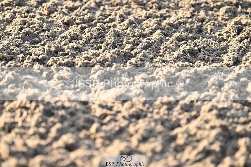 231105-083728-00431 - Cls 3 Prelim 12 Start to 9.50 break