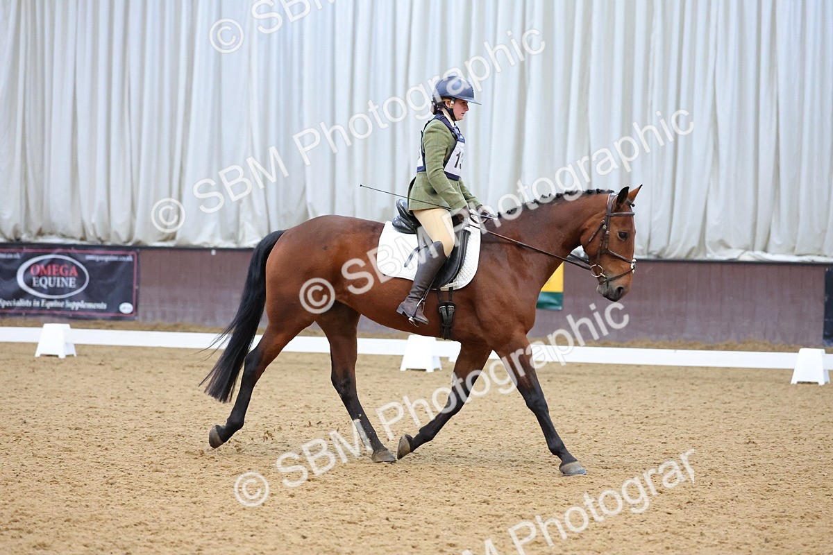SBM_004245 - Intermediate