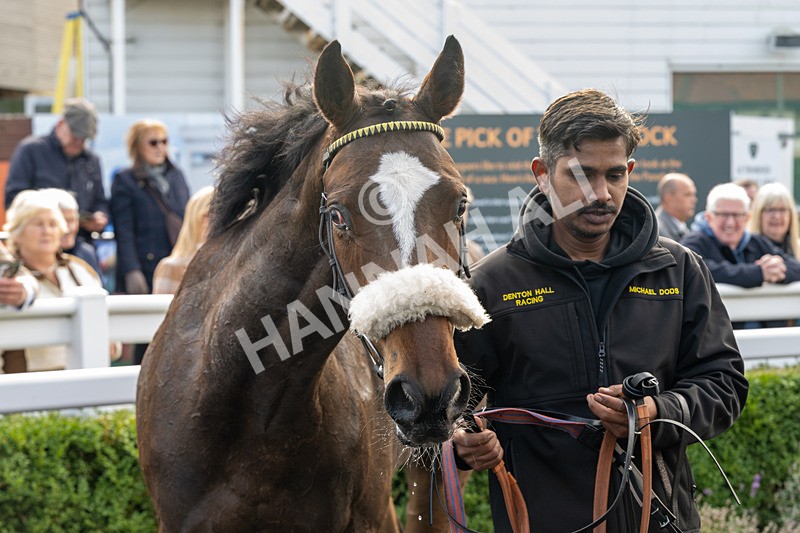 171026-Race 1-Lions Den-4895 - Race 1 1pm EBF 'Confined' Restricted Maiden Stakes