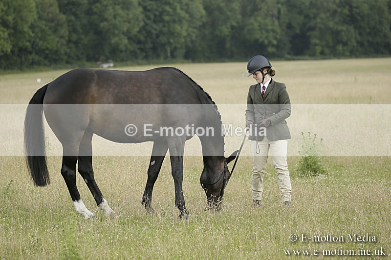 B230619-0196 - Bourne Valley Riding Club Summer Show 23/06/19