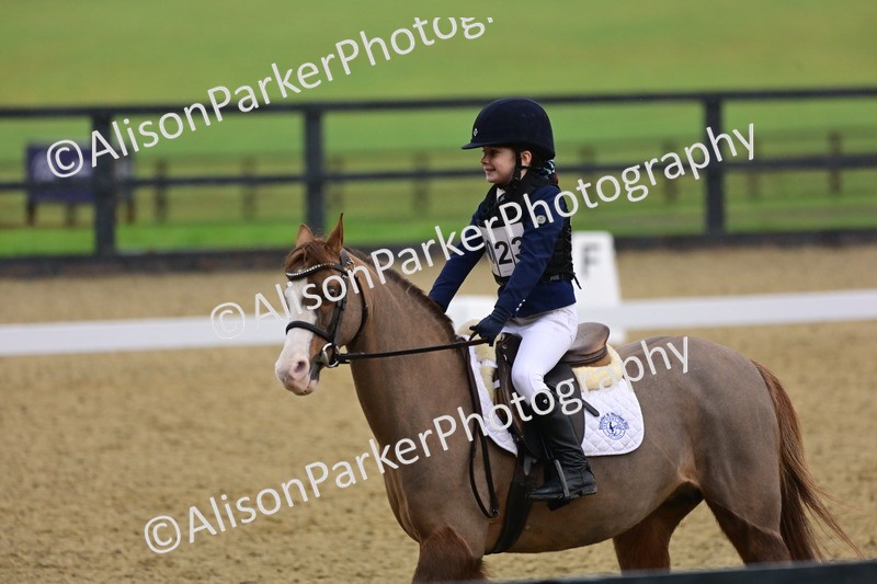 20260125-0648 - Class 9b - Walk Trot Unassisted