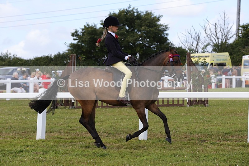 1X9A3902 - Class 31: Show Pony 148cm and under