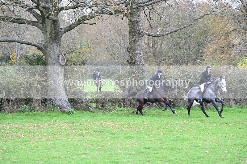 WJ6_1466 - Camera 1