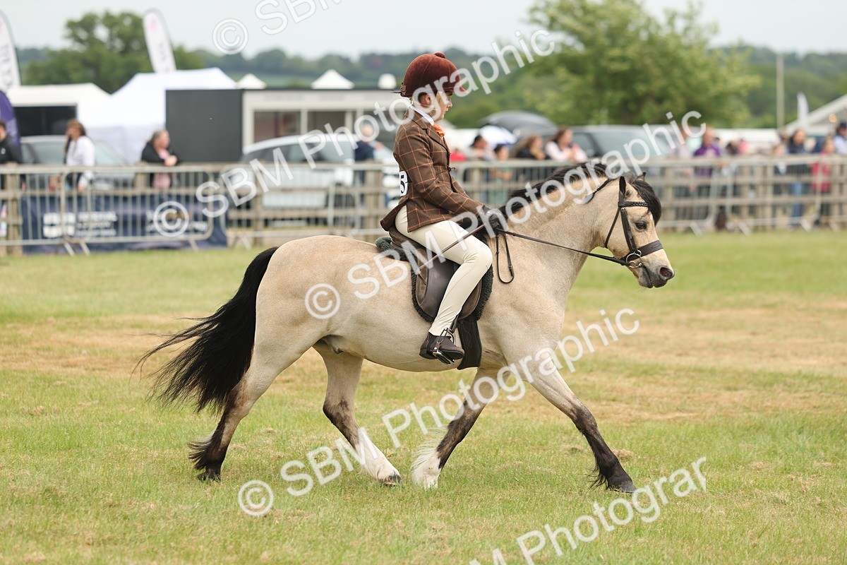 SBM_07111 - Class 76-77 - Ridden M&M Welsh Ponies