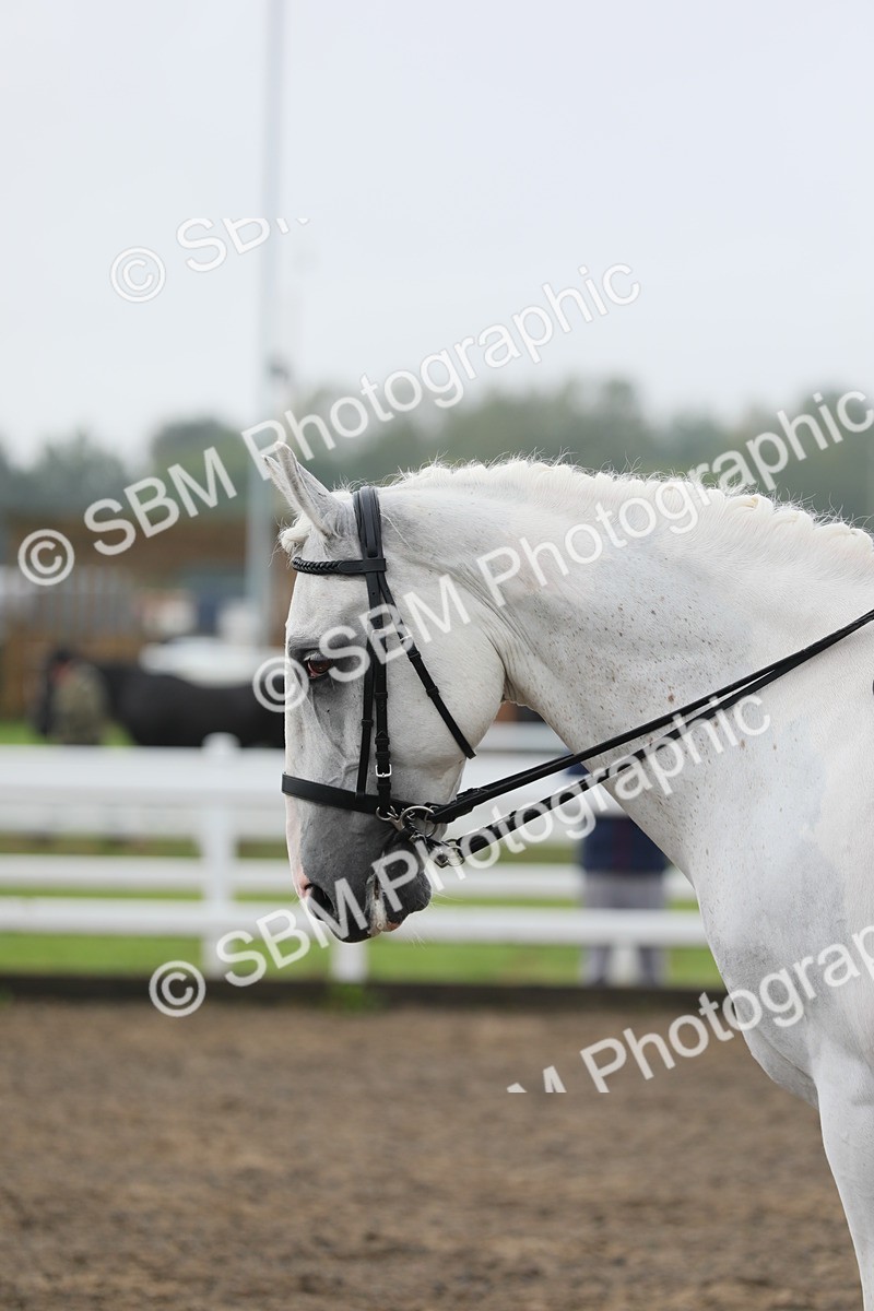 SBM_21284 - Class 805 - Ridden Veteran Horse