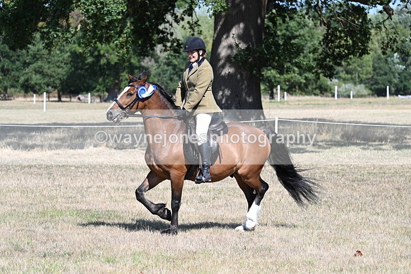 WJ7_4240 - Class 9 Mountain & Moorland Ridden