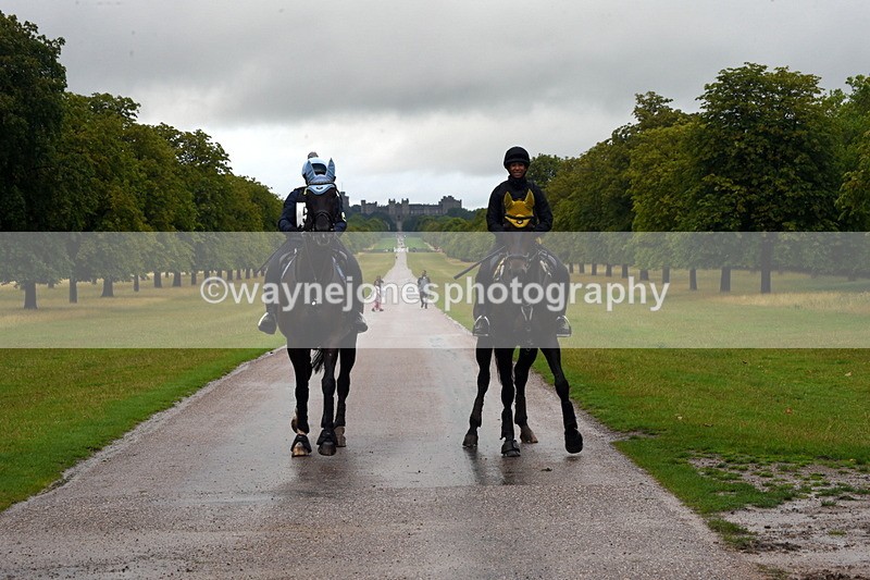 TT3_8910 - Time at Crossing 12:55 to 15:02