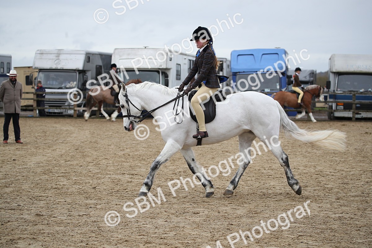 SBM_006133 - Class 10-13 - RIHS Small Large Breeds