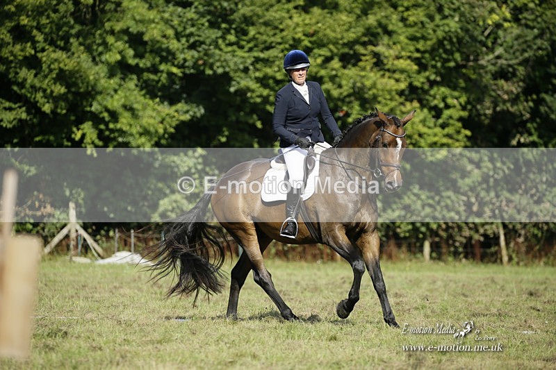 BVRC 120921 224 - Bourne Valley Riding Club UA Dressage & Show Jumping 12/09/21
