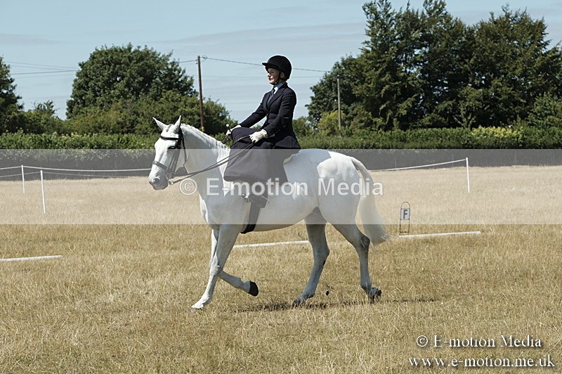 _PJP5949 - Dressage Classes BVRC Show 2018