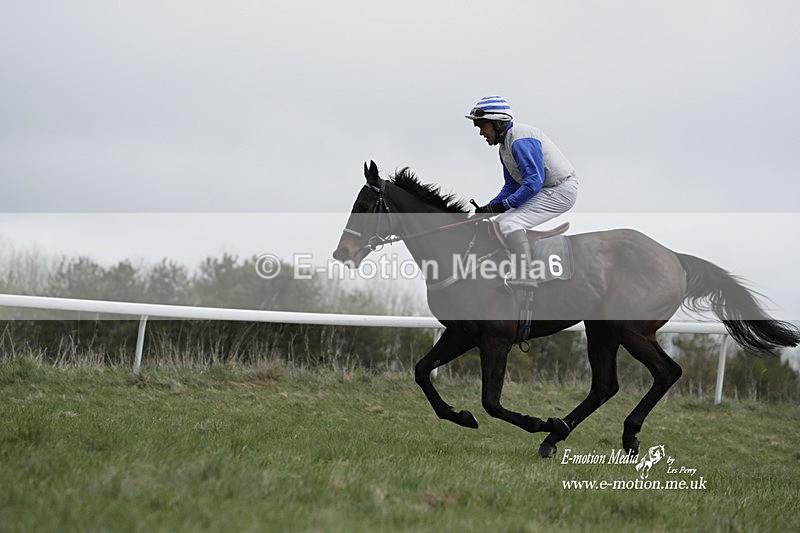 PtP 260323 0678 - New Forest Hounds Point-to-Point Larkhill 26/03/23