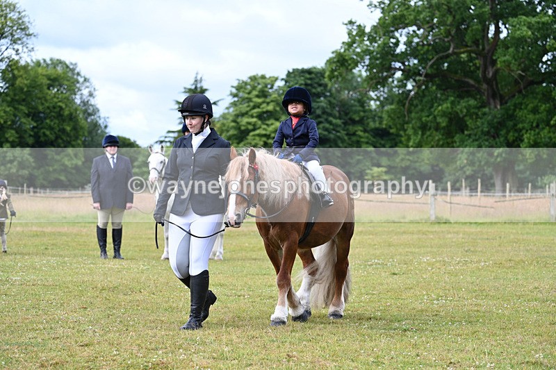 WJ7_4693 - Class 1 Lead Rein Pony